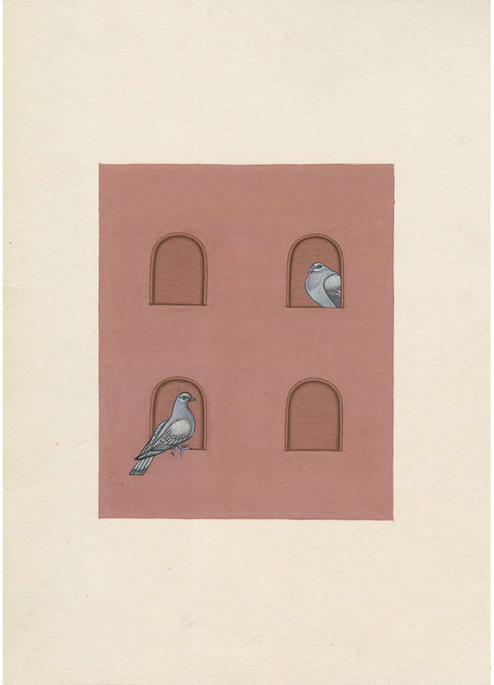 Perches Windows vibrant  Art Work Rug